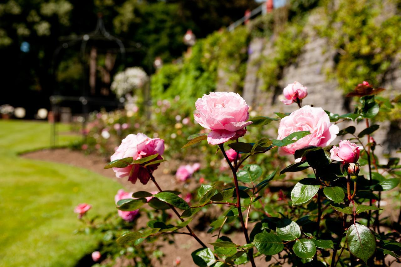 Miskin Manor Hotel ヘンソル エクステリア 写真